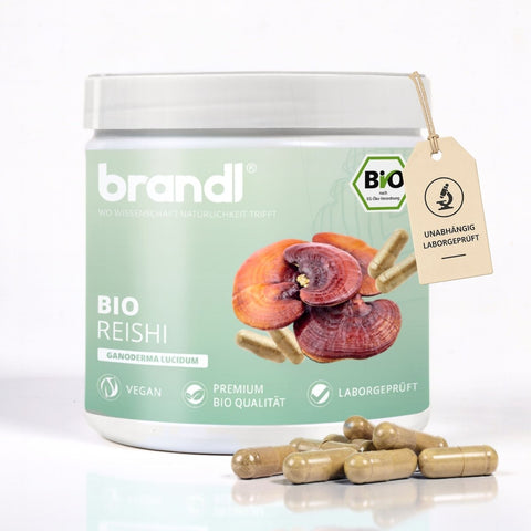 Eine hellgrüne zylindrische dose brandl bio reishi kapseln mit weißem deckel und roten pilzabbildungen