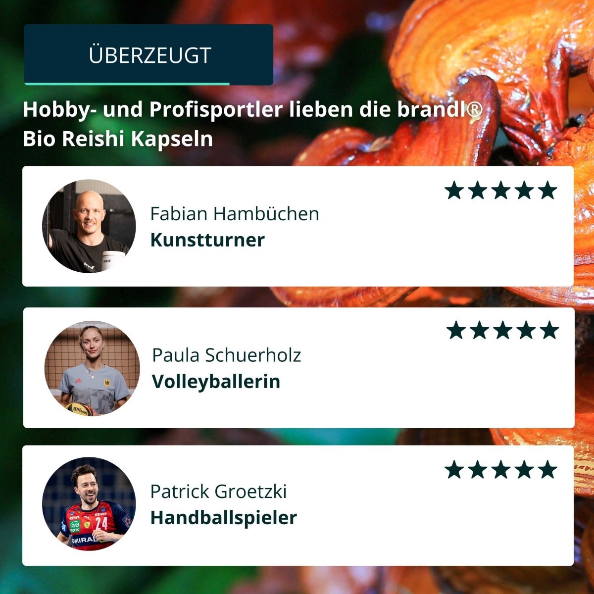 Bio Reishi Kapseln - Brandl Nutrition
