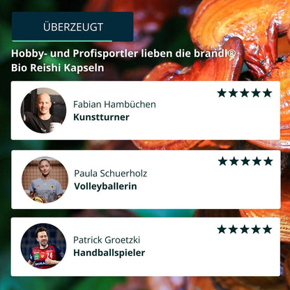 Bio Reishi Kapseln - Brandl Nutrition