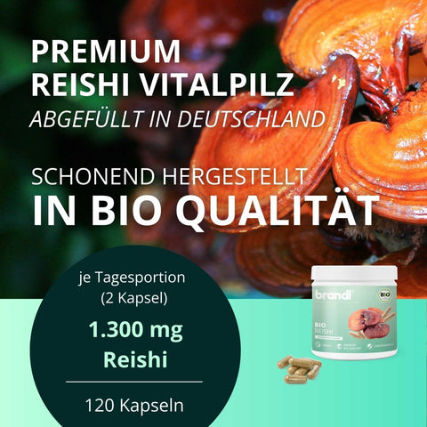 Bio Reishi Kapseln - Brandl Nutrition