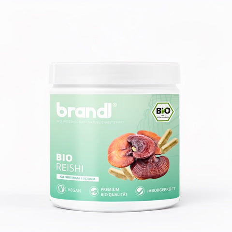 Eine weiße zylinderförmige dose mit einem mintgrünen etikett und bilder von reishi pilzen und kapseln von brandl bio reishi kapseln
