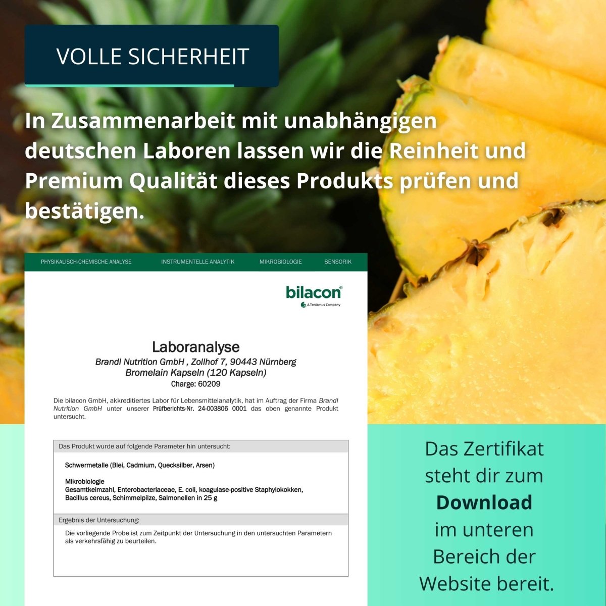 Bromelain Kapseln - Brandl Nutrition