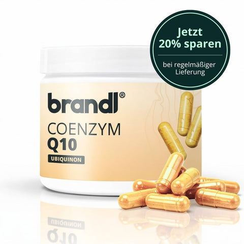 Brandl coenzym q10 kapseln container mit goldenen kapseln, hochwertiges antioxidans zur unterstützung der zellenergie