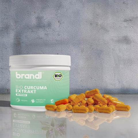 Bio Curcuma Extrakt
