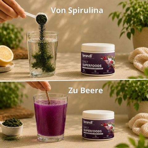 Daily Superfoods Pulver - Brandl Nutrition