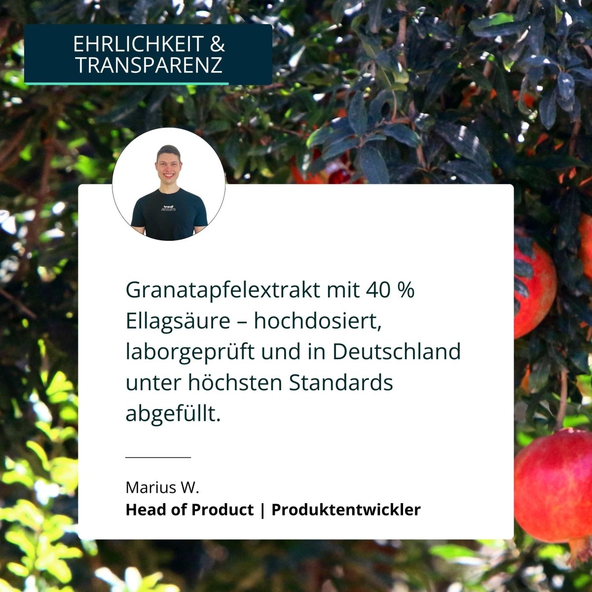Granatapfel Extrakt Kapseln - Brandl Nutrition