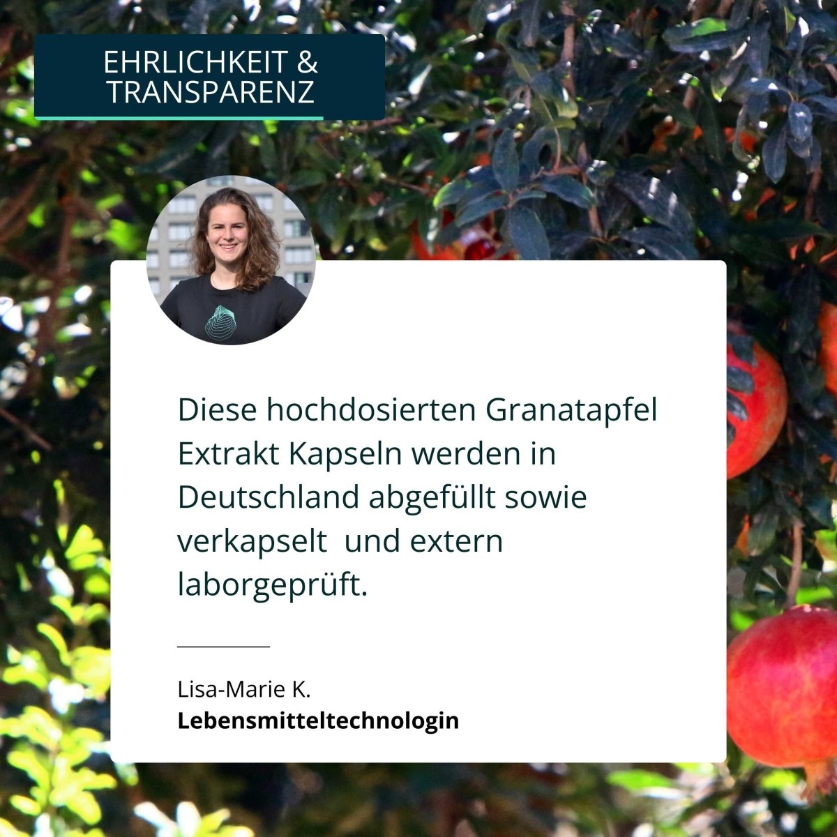 Granatapfel Extrakt Kapseln - Brandl Nutrition