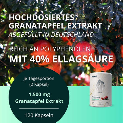 Granatapfel Extrakt Kapseln - Brandl Nutrition