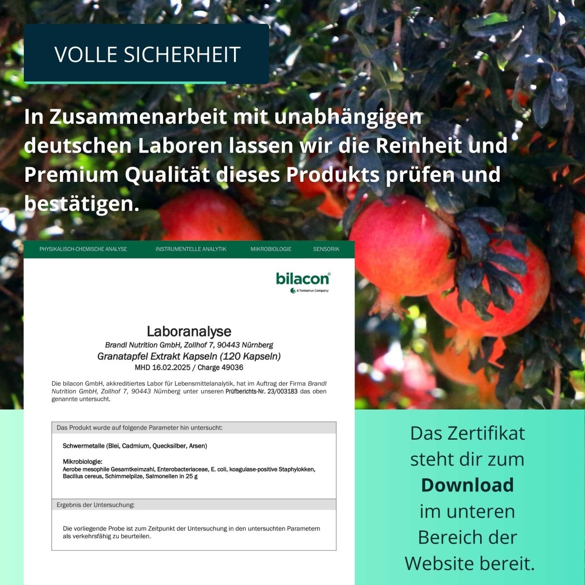 Granatapfel Extrakt Kapseln - Brandl Nutrition