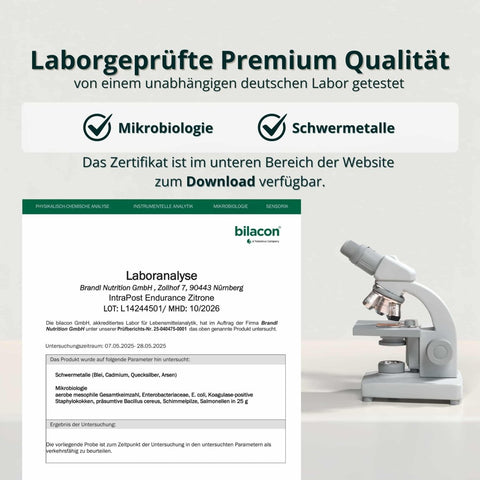 IntraPost Endurance - Brandl Nutrition