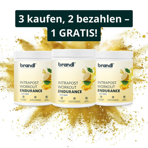 IntraPost Endurance (Angebot) - Brandl Nutrition
