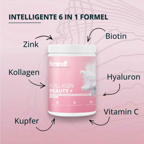 Kollagen Beauty + - Brandl Nutrition