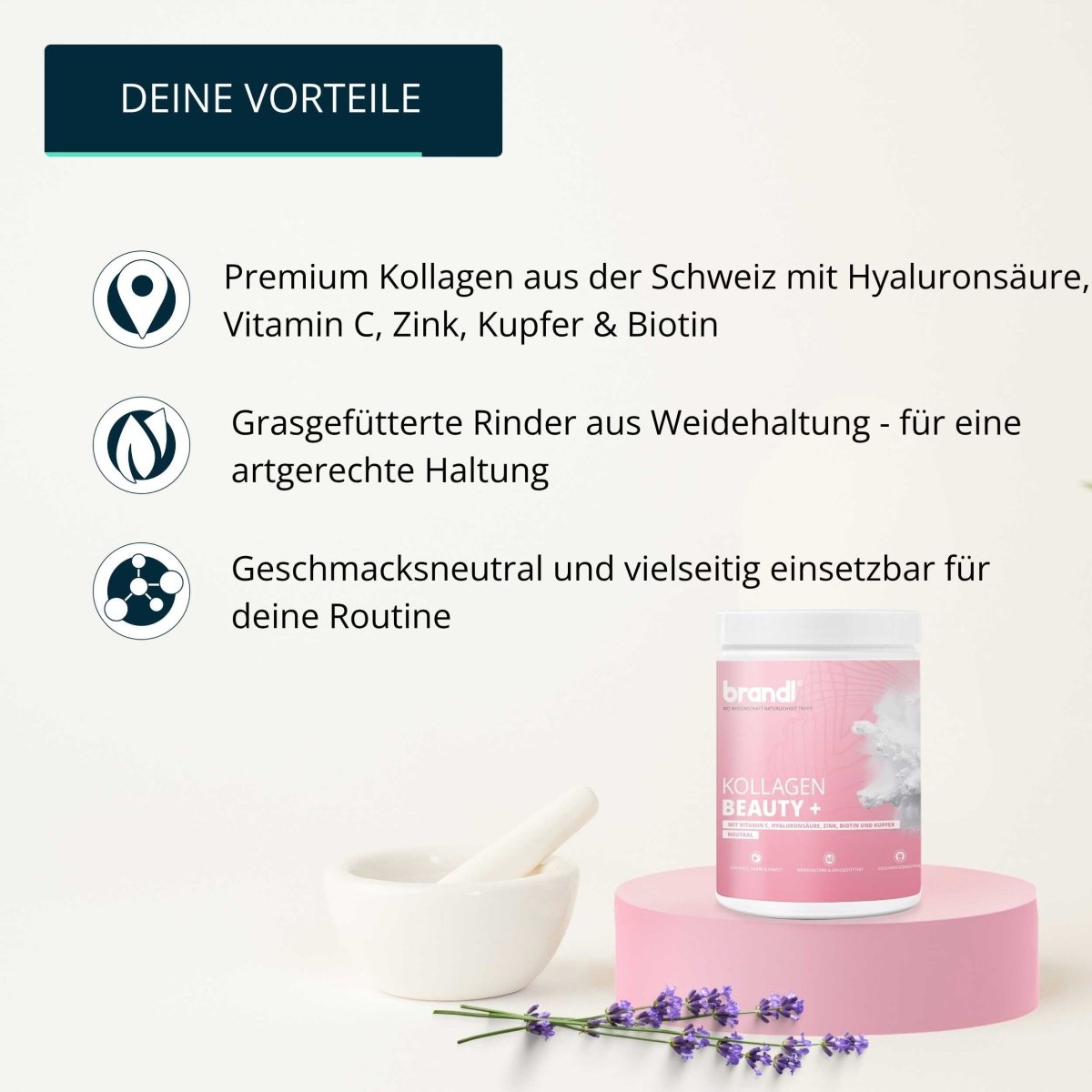 Kollagen Beauty + - Brandl Nutrition