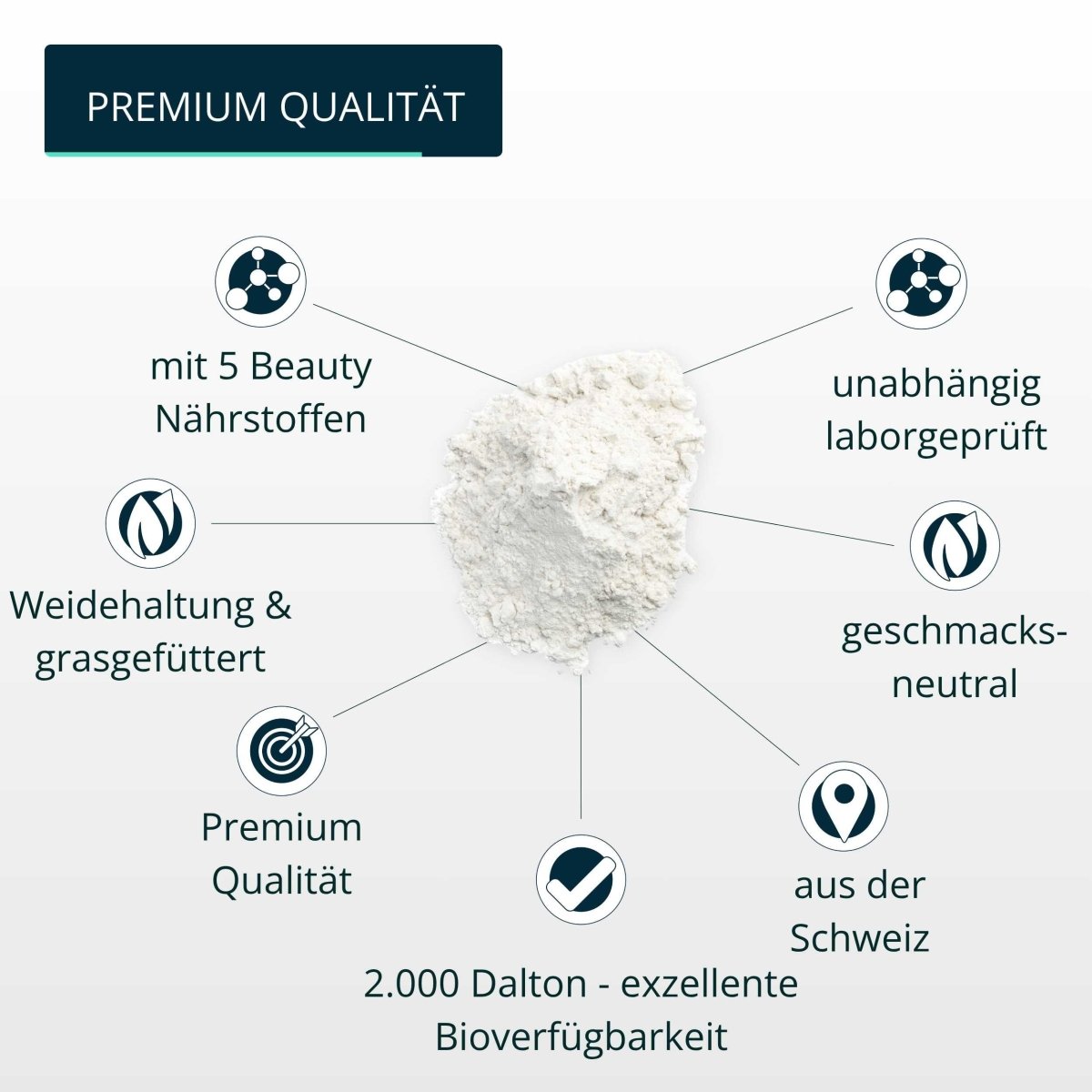 Kollagen Beauty + (Angebot) - Brandl Nutrition