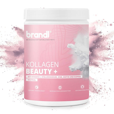 Kollagen Beauty + (Angebot) - Brandl Nutrition