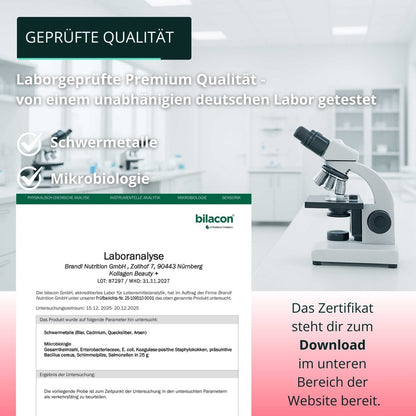 Kollagen Beauty + (Angebot) - Brandl Nutrition