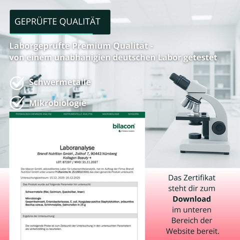 Kollagen Beauty + (Angebot) - Brandl Nutrition