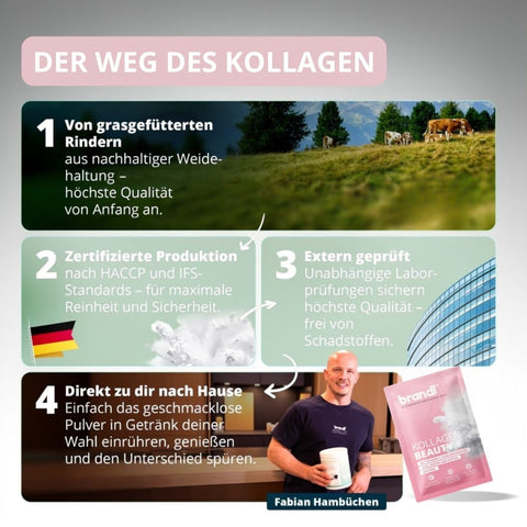 Kollagen Beauty + Sachets - Brandl Nutrition
