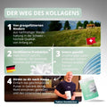 Kollagen Herstellung aus grasgefütterten Rindern in der Schweiz, zertifizierte Produktion und unabhängige Laborprüfung