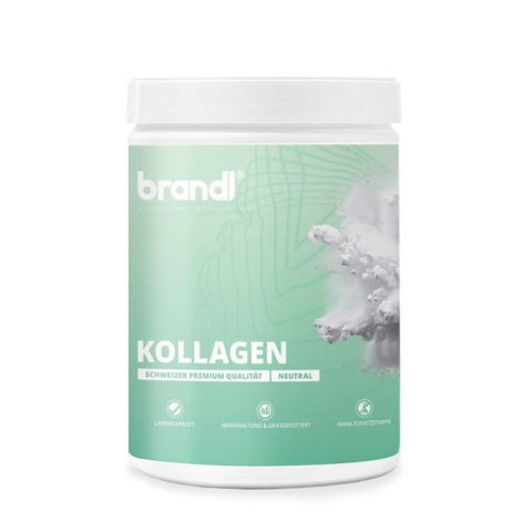 Kollagen Pulver - Brandl Nutrition
