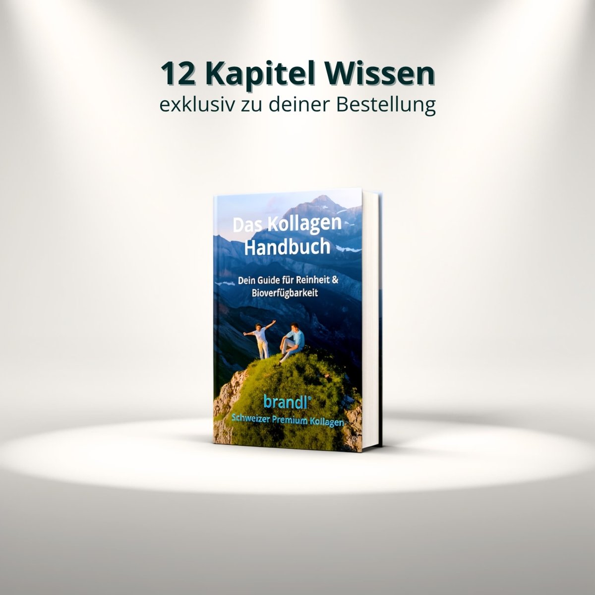 Das kollagen handbuch buch mit buntem cover zeigt zwei personen auf einem grasigen berggipfel vor blauen bergen