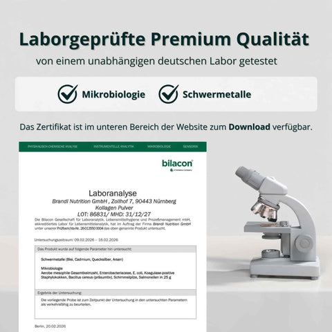 Kollagen Pulver - Brandl Nutrition