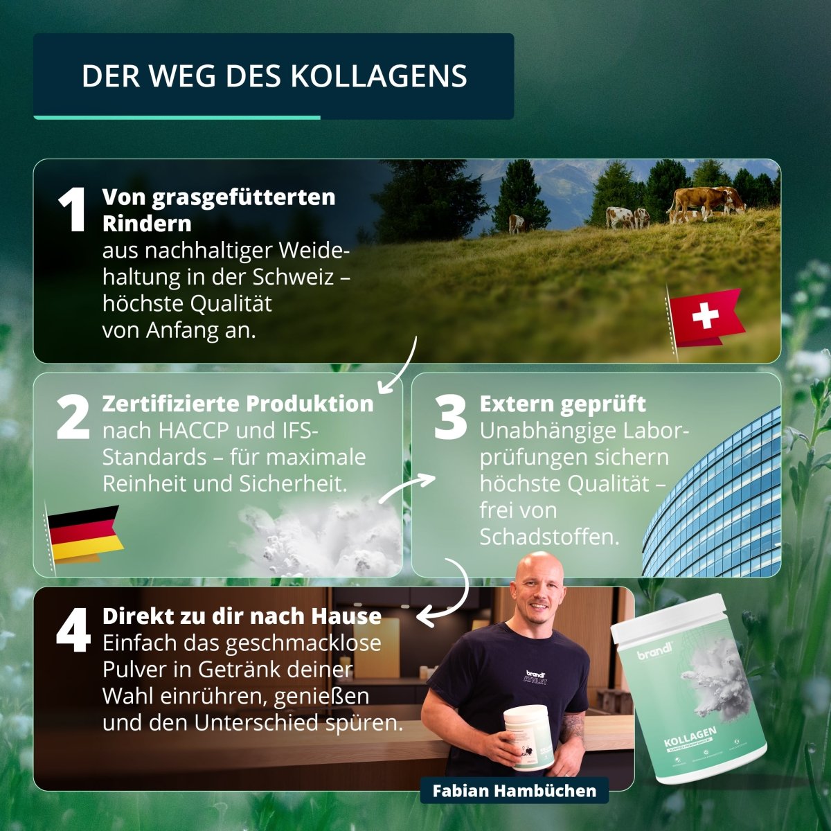 Kollagen Pulver (3 für 2 Angebot) - Brandl Nutrition