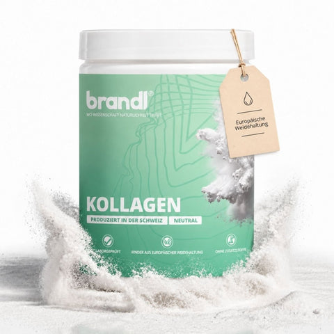 Kollagen Pulver - Brandl Nutrition