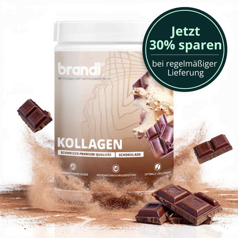 Brandl kollagen pulver schokoladengeschmack in weiß-braunem zylinder mit schokoladenstücken auf der verpackung