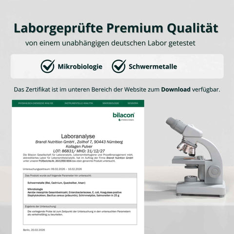 Kollagen Pulver - Brandl Nutrition