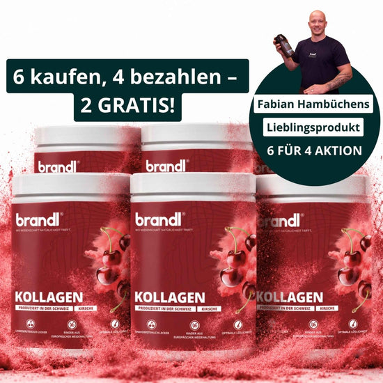 Kollagen Pulver (Angebot) - Brandl Nutrition