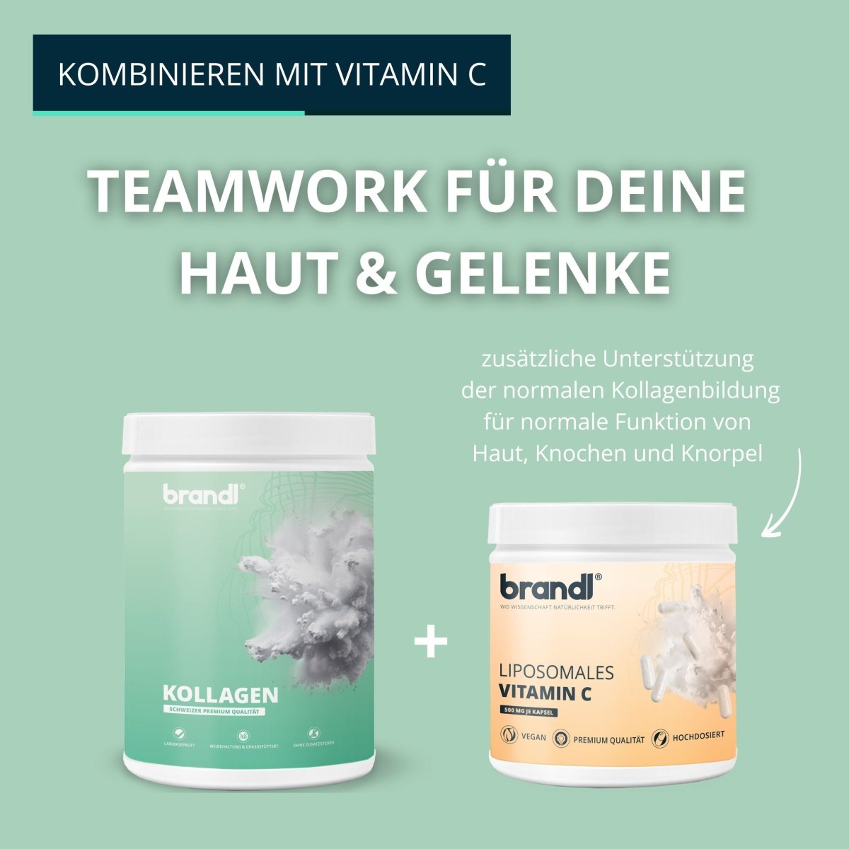 Kollagen Pulver (Angebot) - Brandl Nutrition