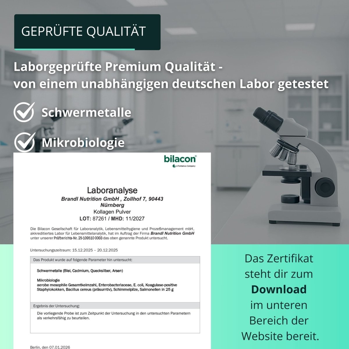 Kollagen Pulver (Januar - Angebot) - Brandl Nutrition
