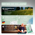 Kollagen Pulver Sachets - Brandl Nutrition