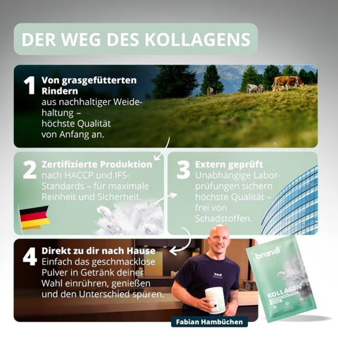 Kollagen Pulver Sachets - Brandl Nutrition