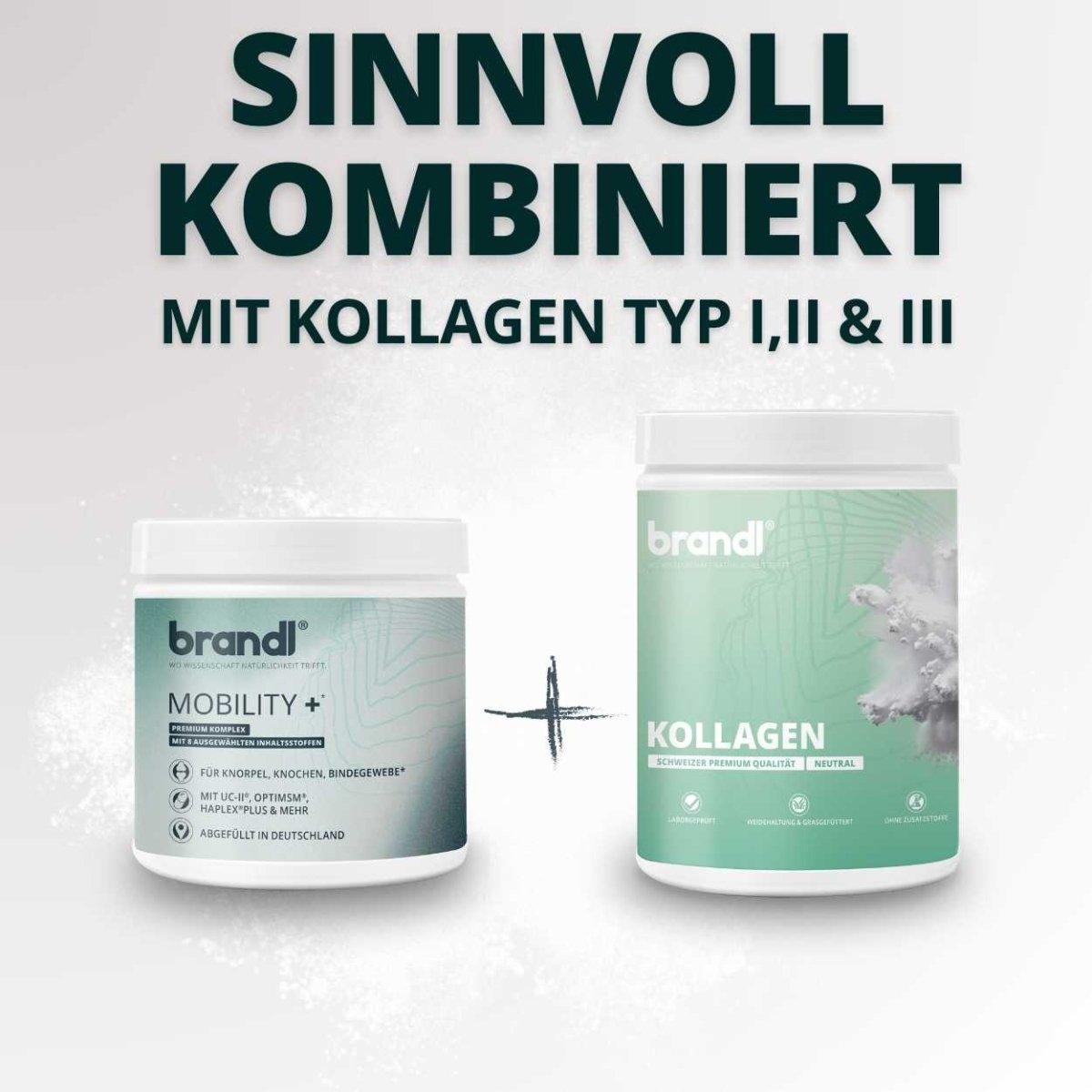 Kollagen Typ I, II & III Bundle - Brandl Nutrition