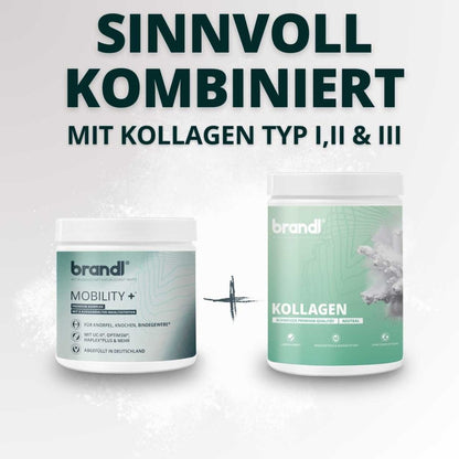 Kollagen Typ I, II & III Bundle - Brandl Nutrition