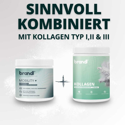 Kollagen Typ I, II & III Bundle - Brandl Nutrition