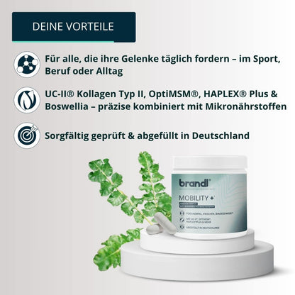 Kollagen Typ I, II & III Bundle - Brandl Nutrition