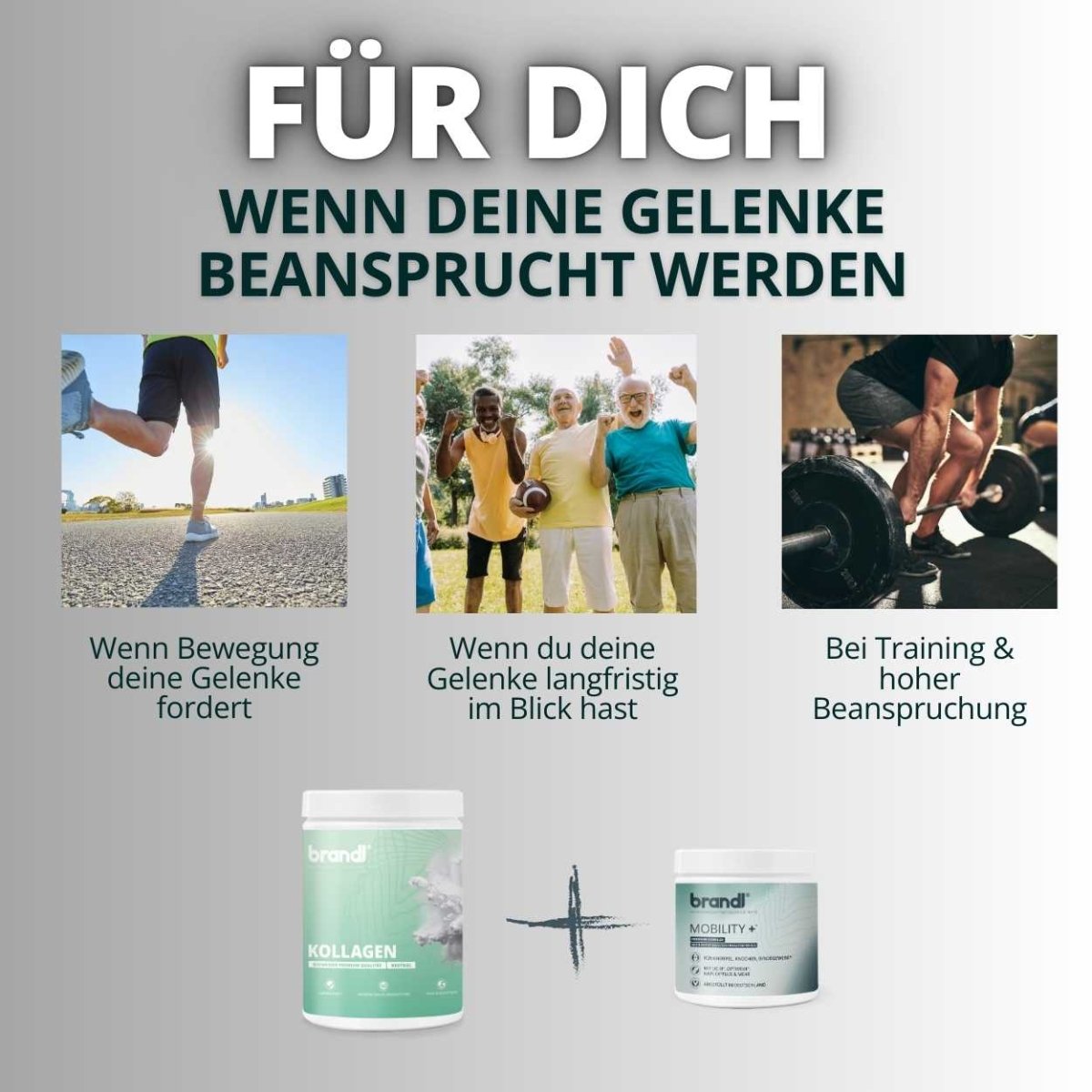 Kollagen Typ I, II & III Bundle - Brandl Nutrition