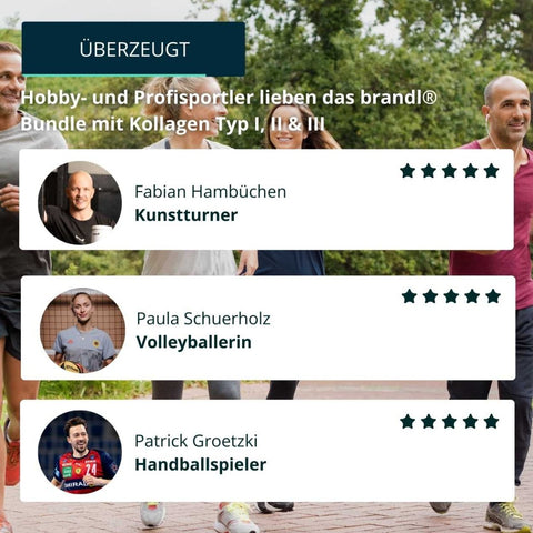 Kollagen Typ I, II & III Bundle - Brandl Nutrition