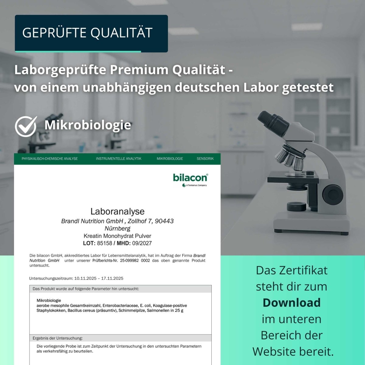 Kreatin Monohydrat - Brandl Nutrition