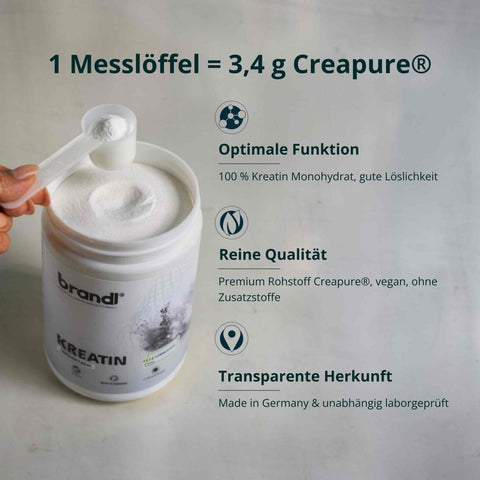 Kreatin Monohydrat - Brandl Nutrition
