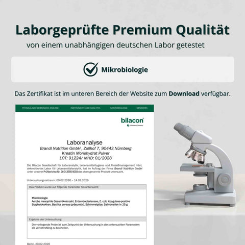 Kreatin Monohydrat - Brandl Nutrition