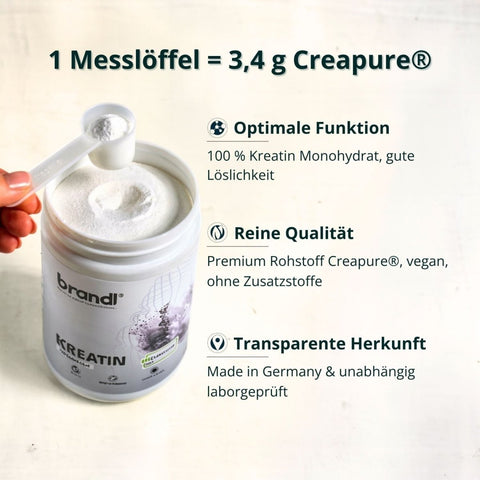 Kreatin Monohydrat (Creapure®) - Brandl Nutrition