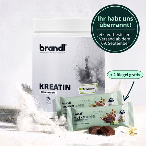 Kreatin Monohydrat (Creapure®) - Brandl Nutrition