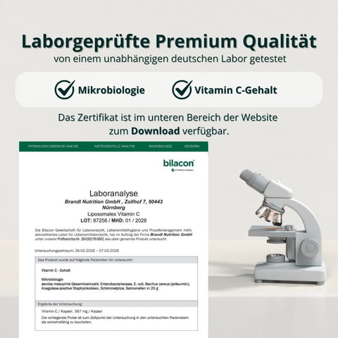 Liposomales Vitamin C - Brandl Nutrition