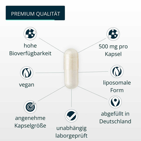 Liposomales Vitamin C - Brandl Nutrition