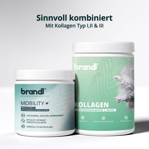 Mobility + Kapseln - Brandl Nutrition