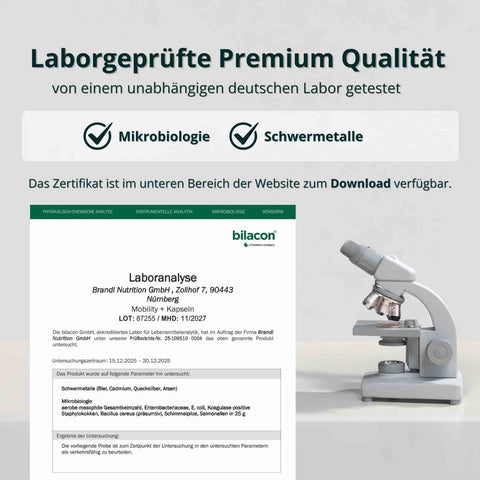 Mobility + Kapseln - Brandl Nutrition